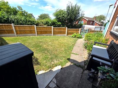 Picture 14